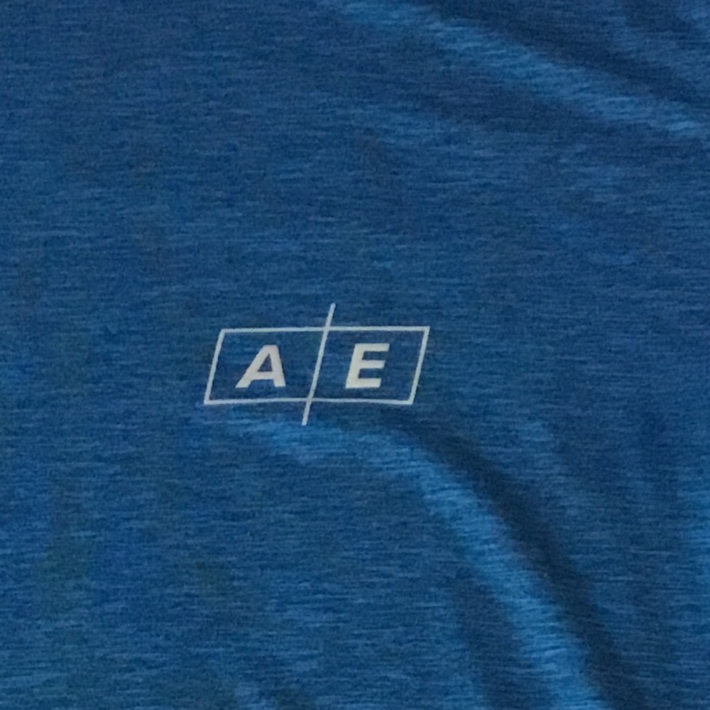 American Eagle Outfitters AE Active Men's Blue and Green T-Shirts Size Large EUC - Picture 5 of 7